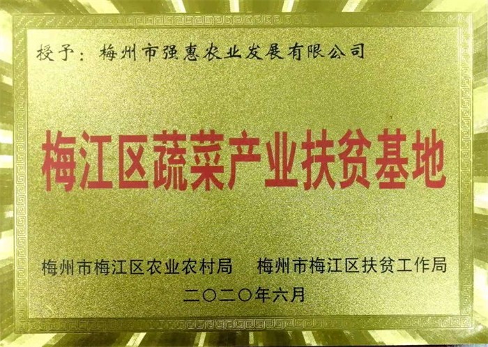 梅江區(qū)蔬菜產業(yè)扶貧基地