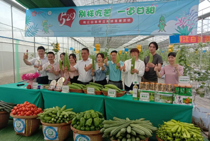 梅江白宮苦瓜網(wǎng)絡(luò)直播活動(dòng)，體驗(yàn)‘別樣吃苦，一道甘甜’